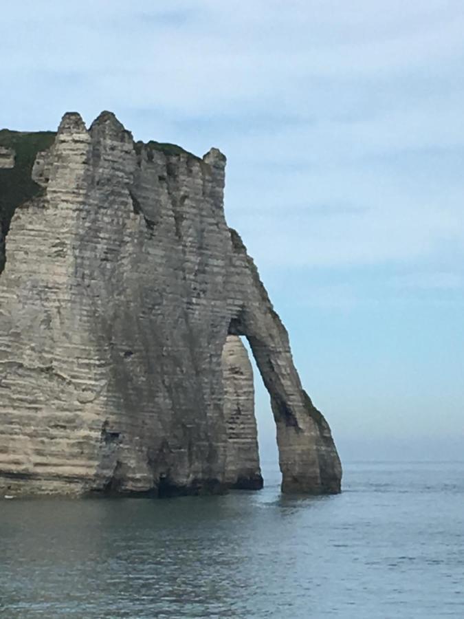 Au Bonheur D'Etretat Villa Luaran gambar